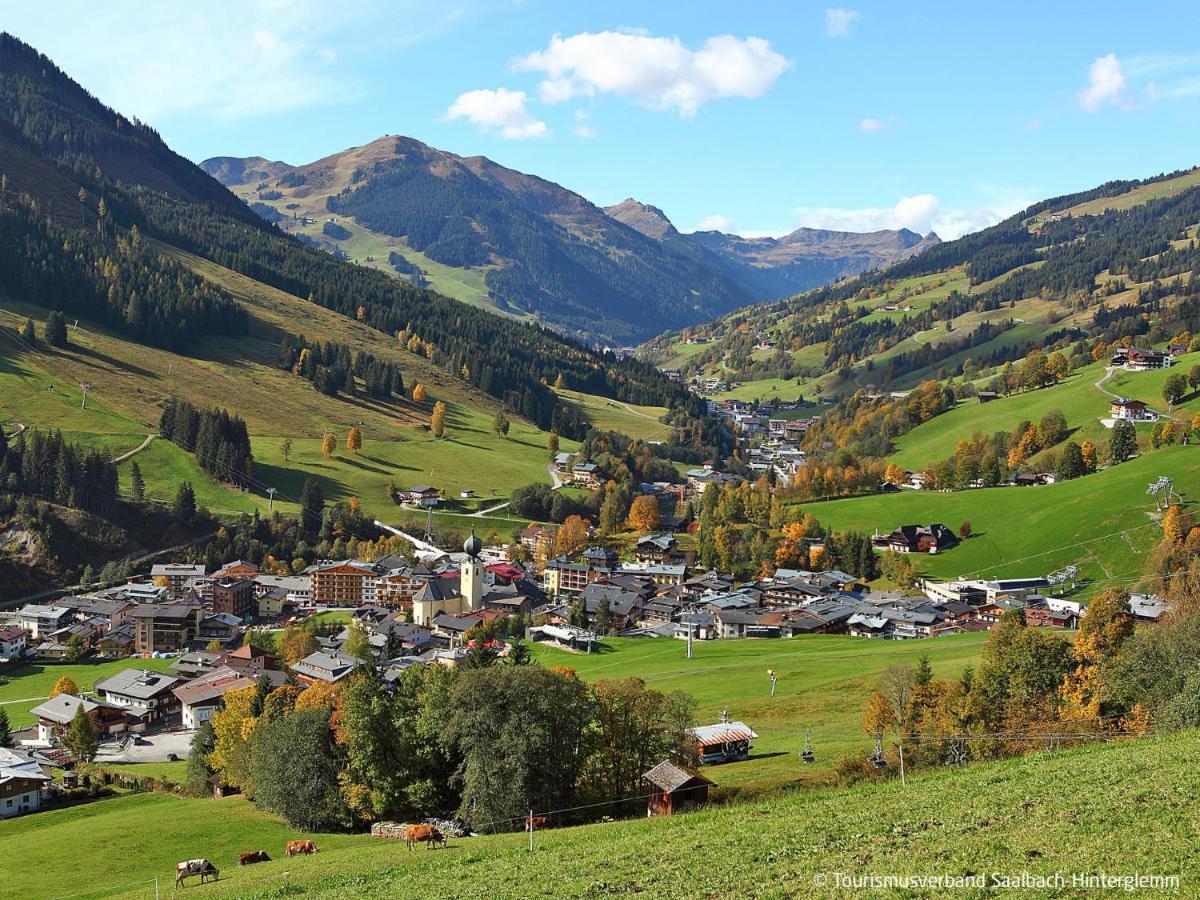 Apartment Saalbacher Perle - Slb350 By Interhome Saalbach-Hinterglemm Exterior foto